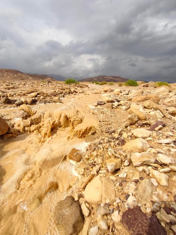 Desert Path Be'er Ora Exteriör bild